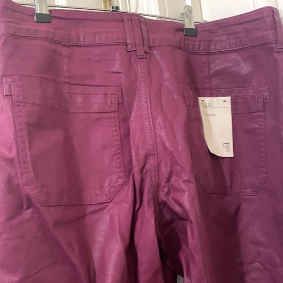 NWT Anthropologie Pilcro The Wanderer coated relaxed fit pants size 32P. - Picture 6 of 10